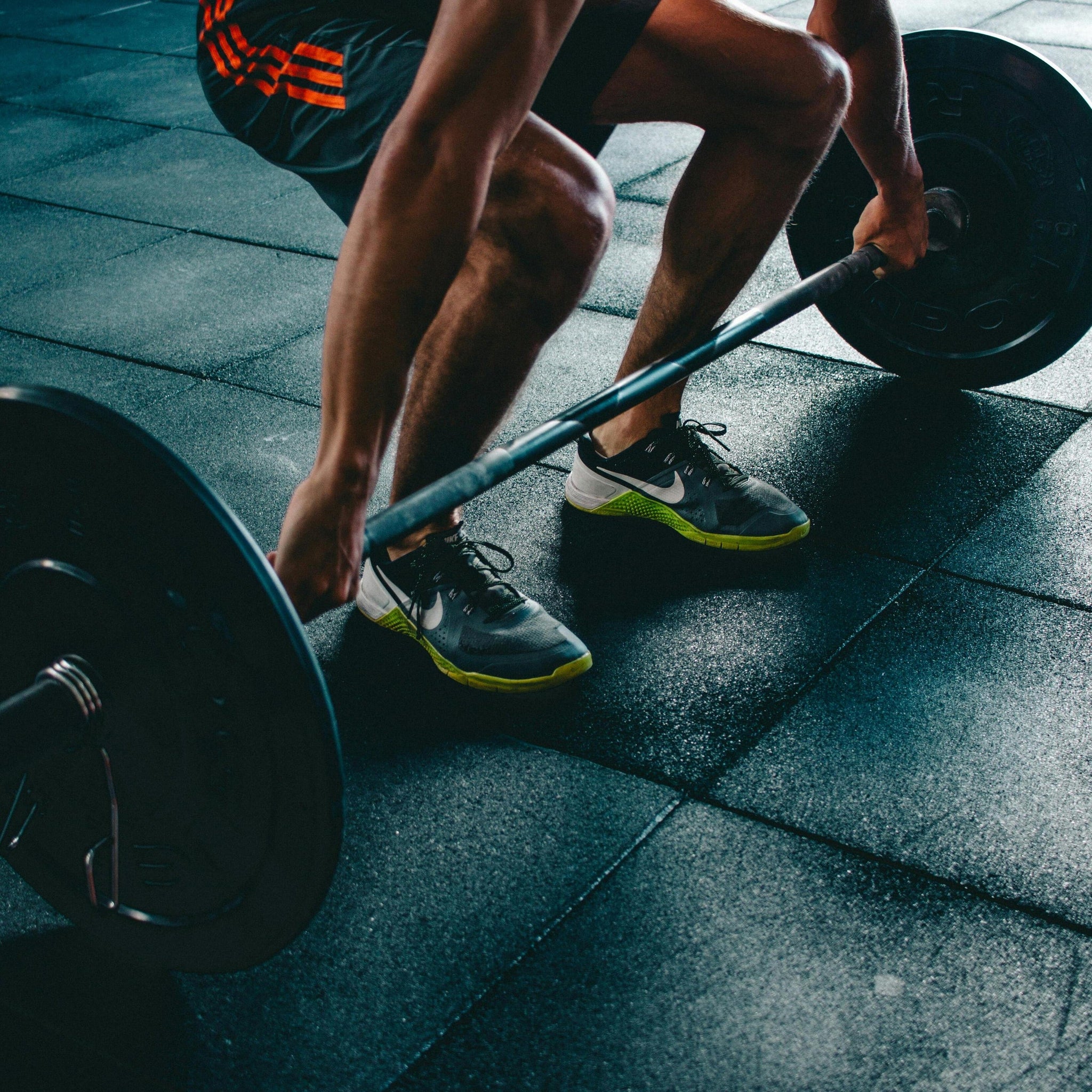 Fitness & Wellness