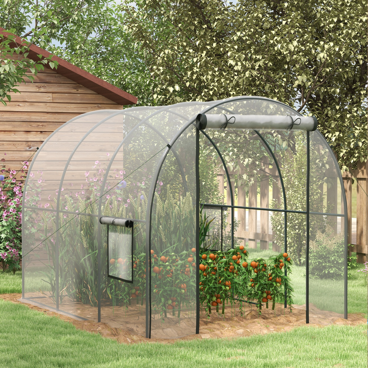 Grow Dome – Clear Tunnel Greenhouse (3m x 2m)