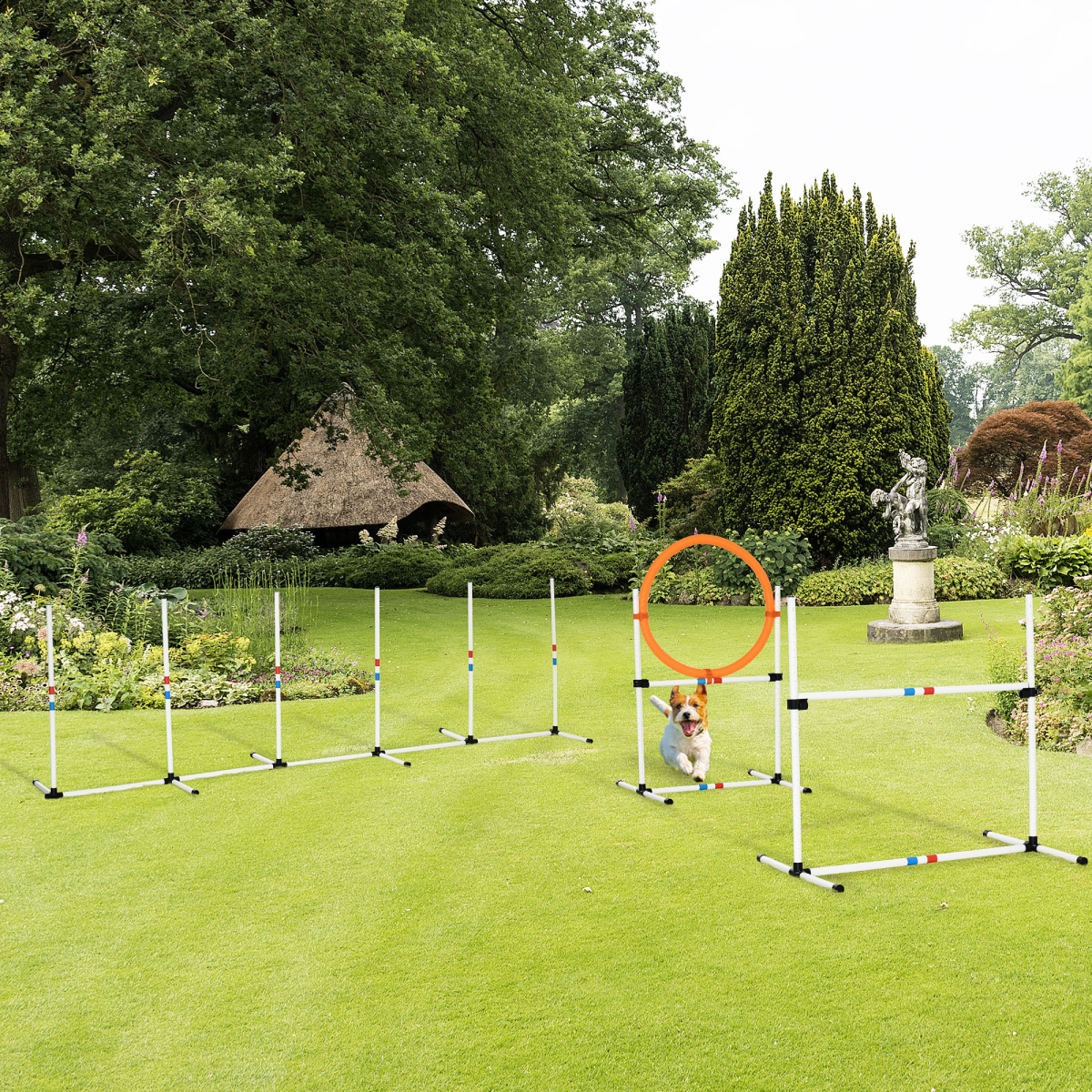 Pet Agility Training Set