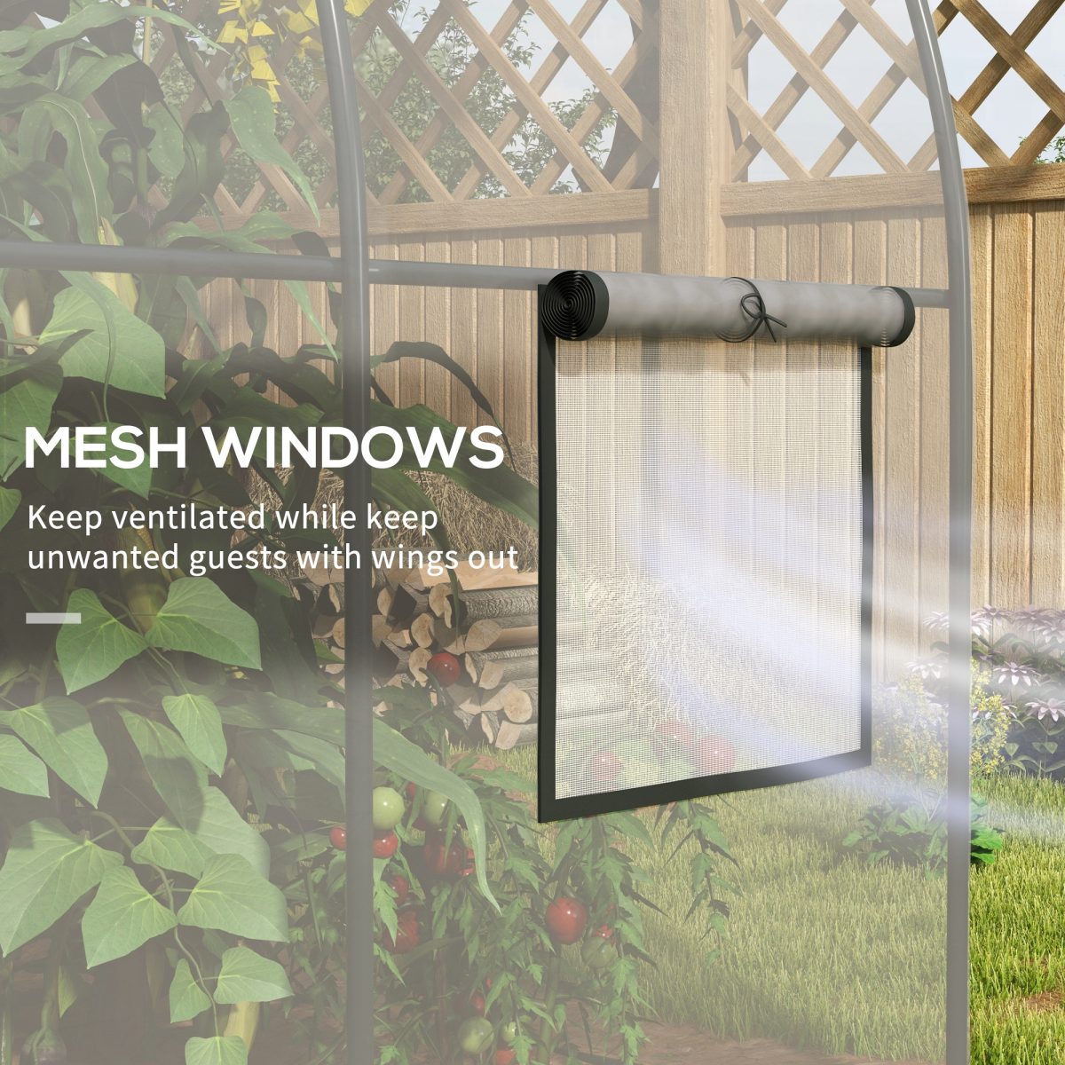 Grow Dome – Clear Tunnel Greenhouse (3m x 2m)