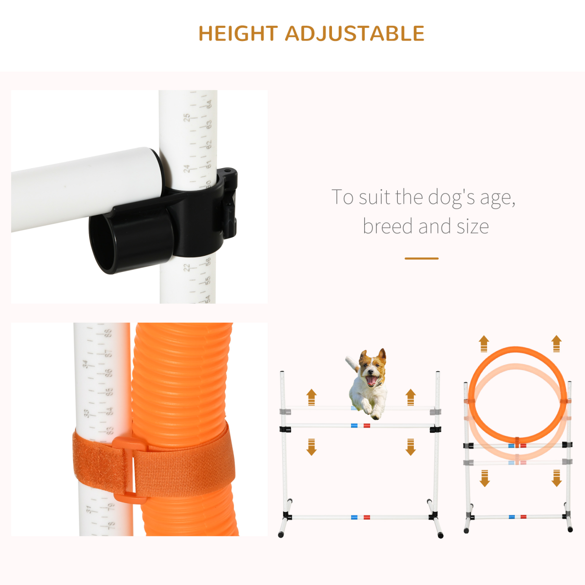 Pet Agility Training Set