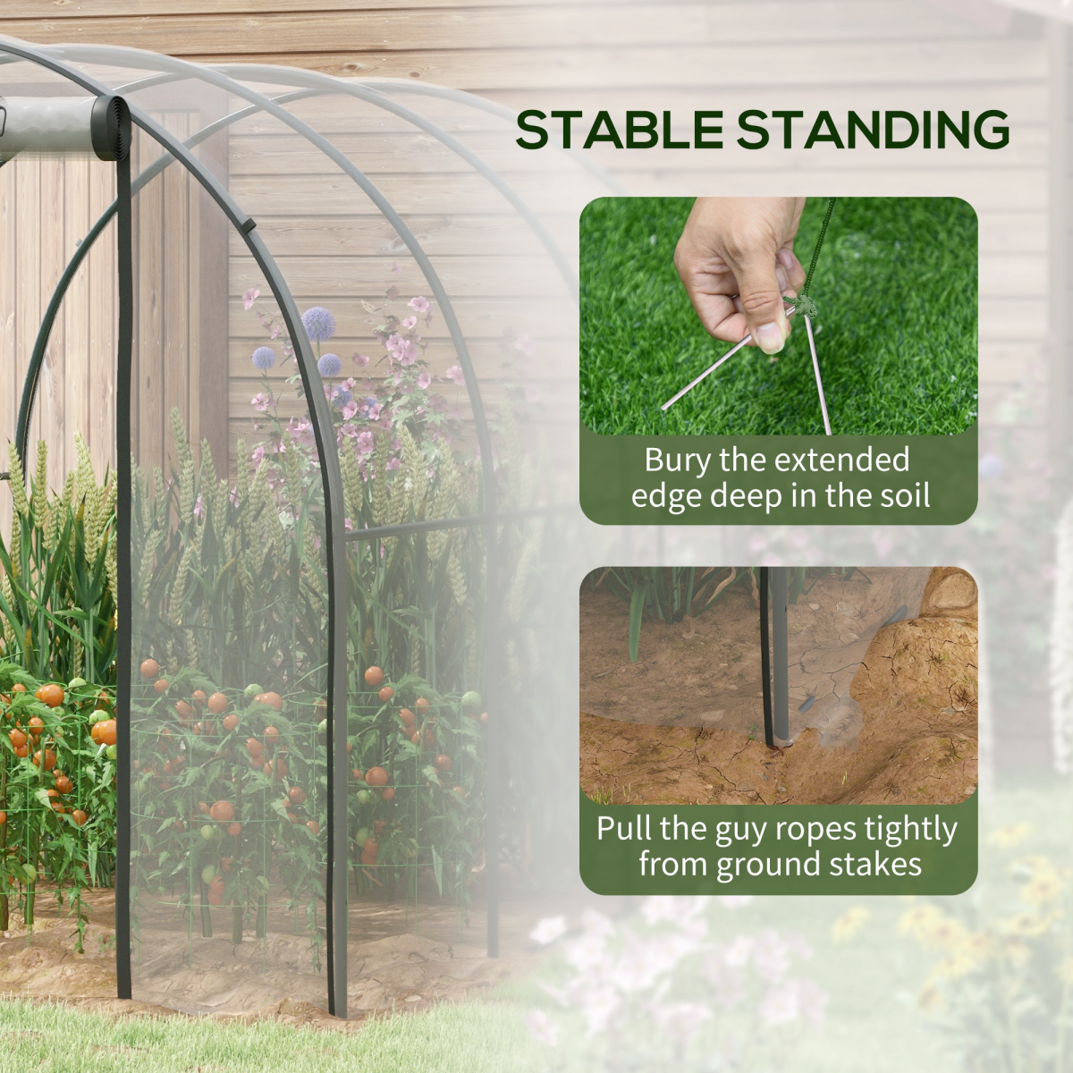 Grow Dome – Clear Tunnel Greenhouse (3m x 2m)