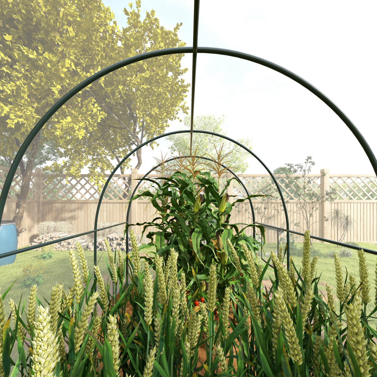 Grow Dome – Clear Tunnel Greenhouse (3m x 2m)