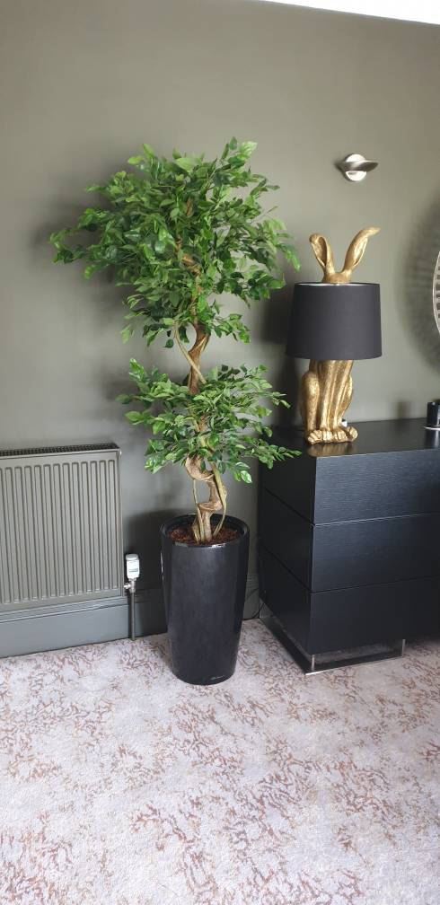 Artificial Japanese Twisted Ficus Tree