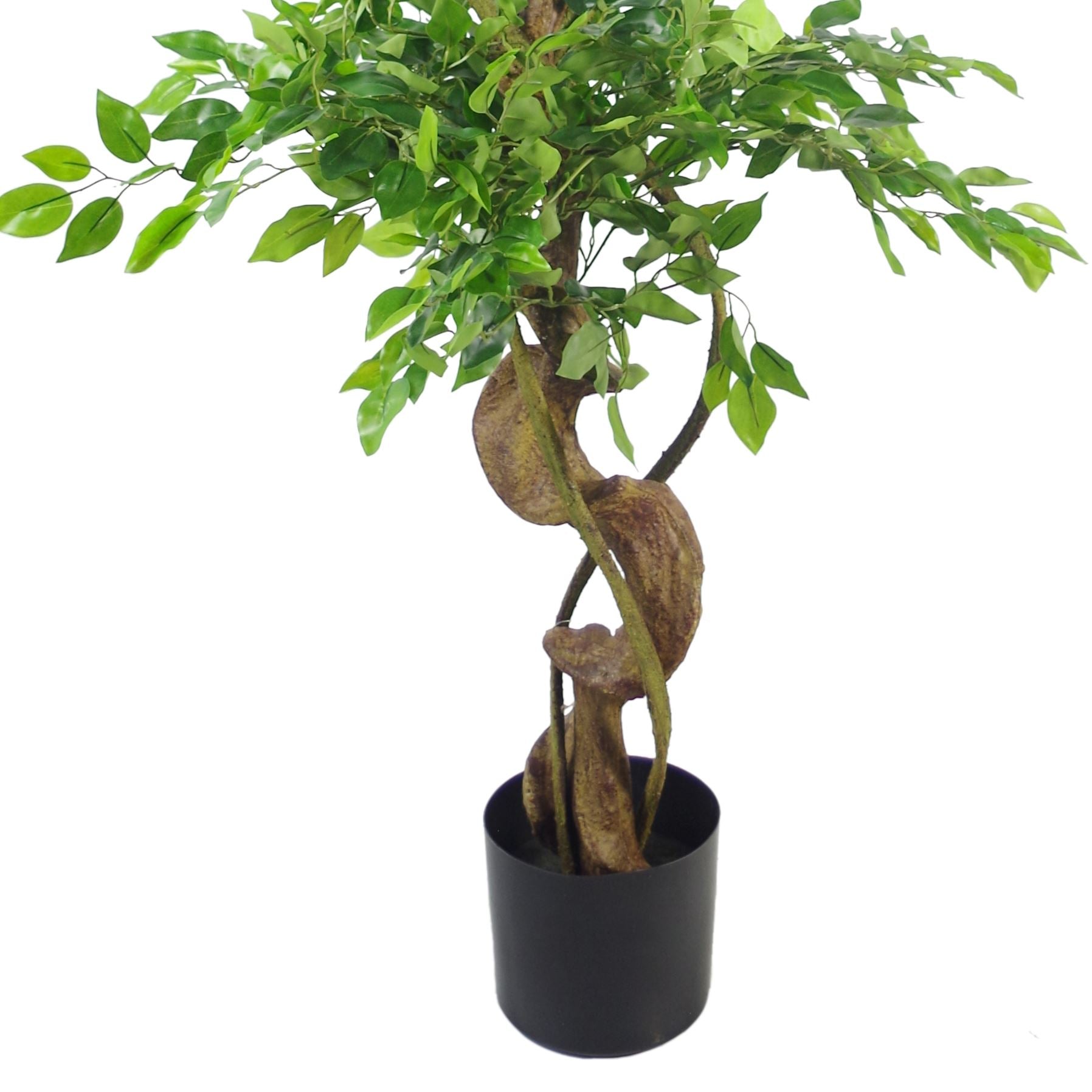 Artificial Japanese Twisted Ficus Tree