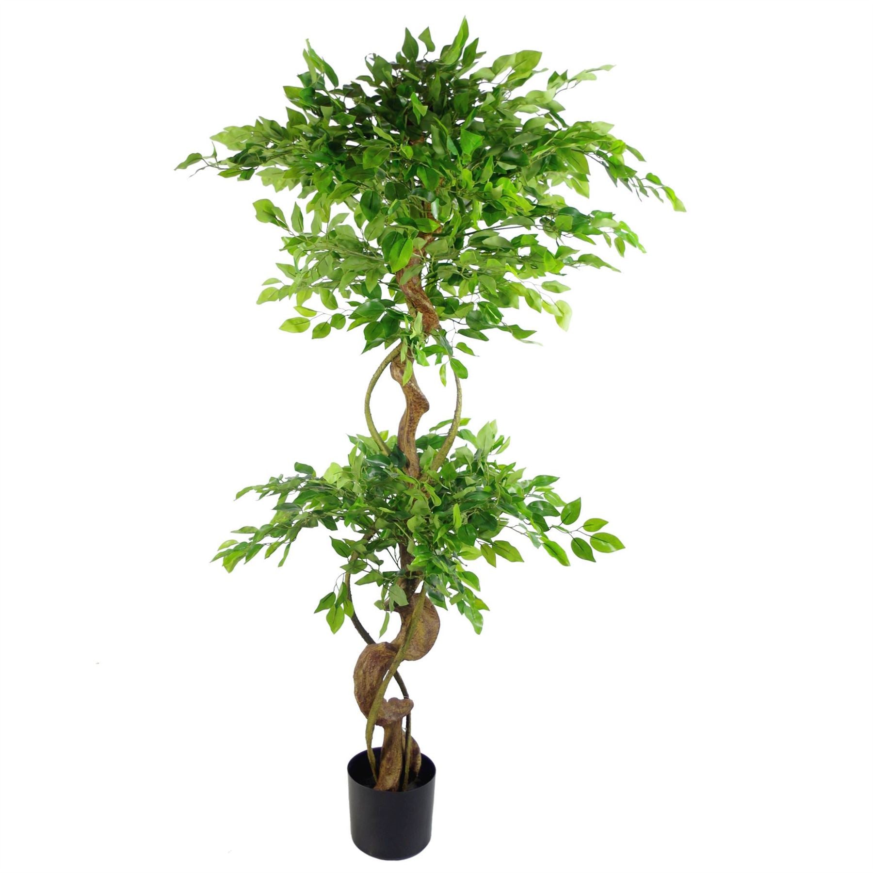 Artificial Japanese Twisted Ficus Tree