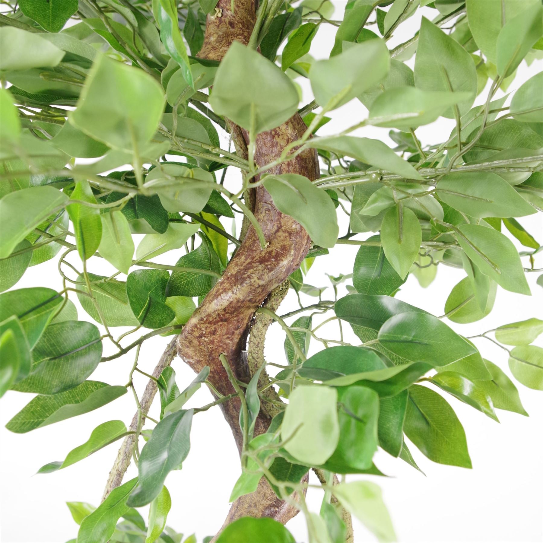 Artificial Japanese Twisted Ficus Tree