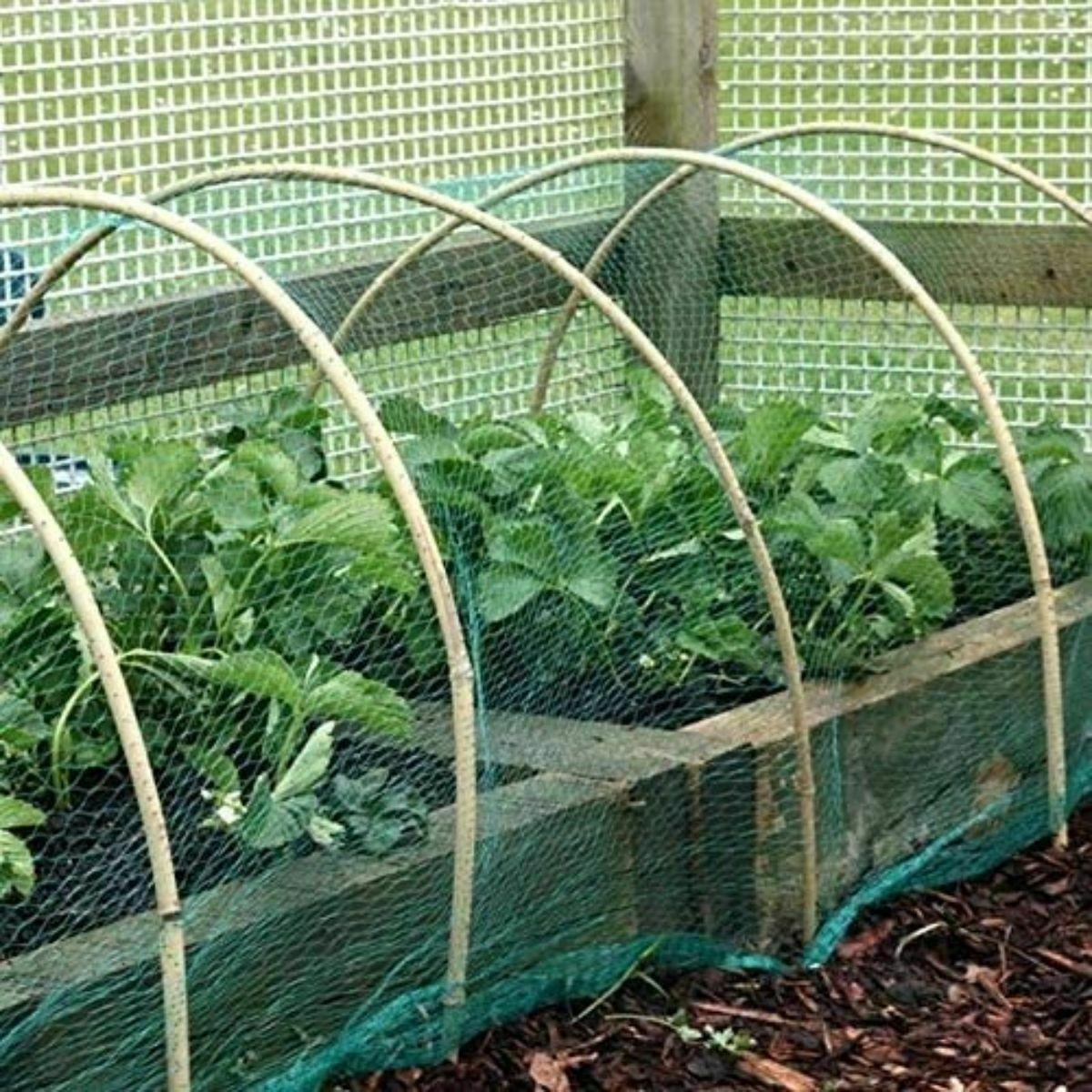 6 X GARDEN NETTING 2M X 10M